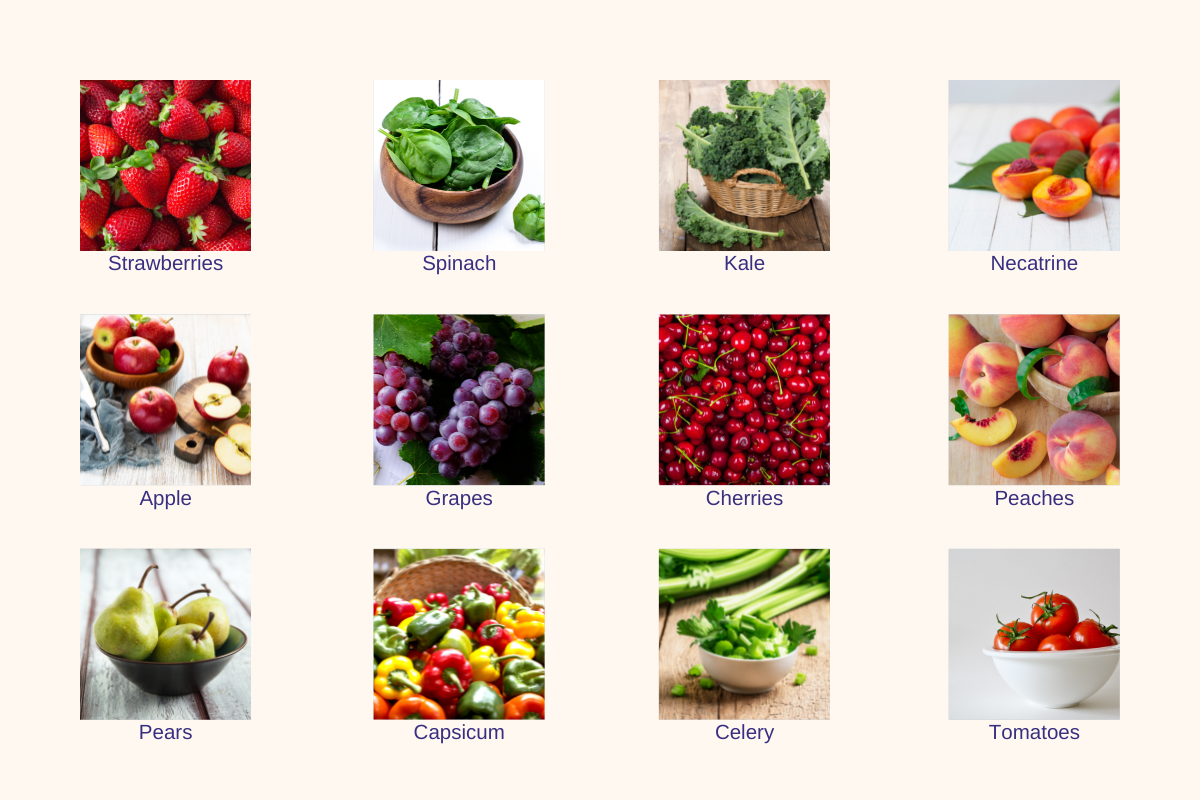 The Dirty Dozen List