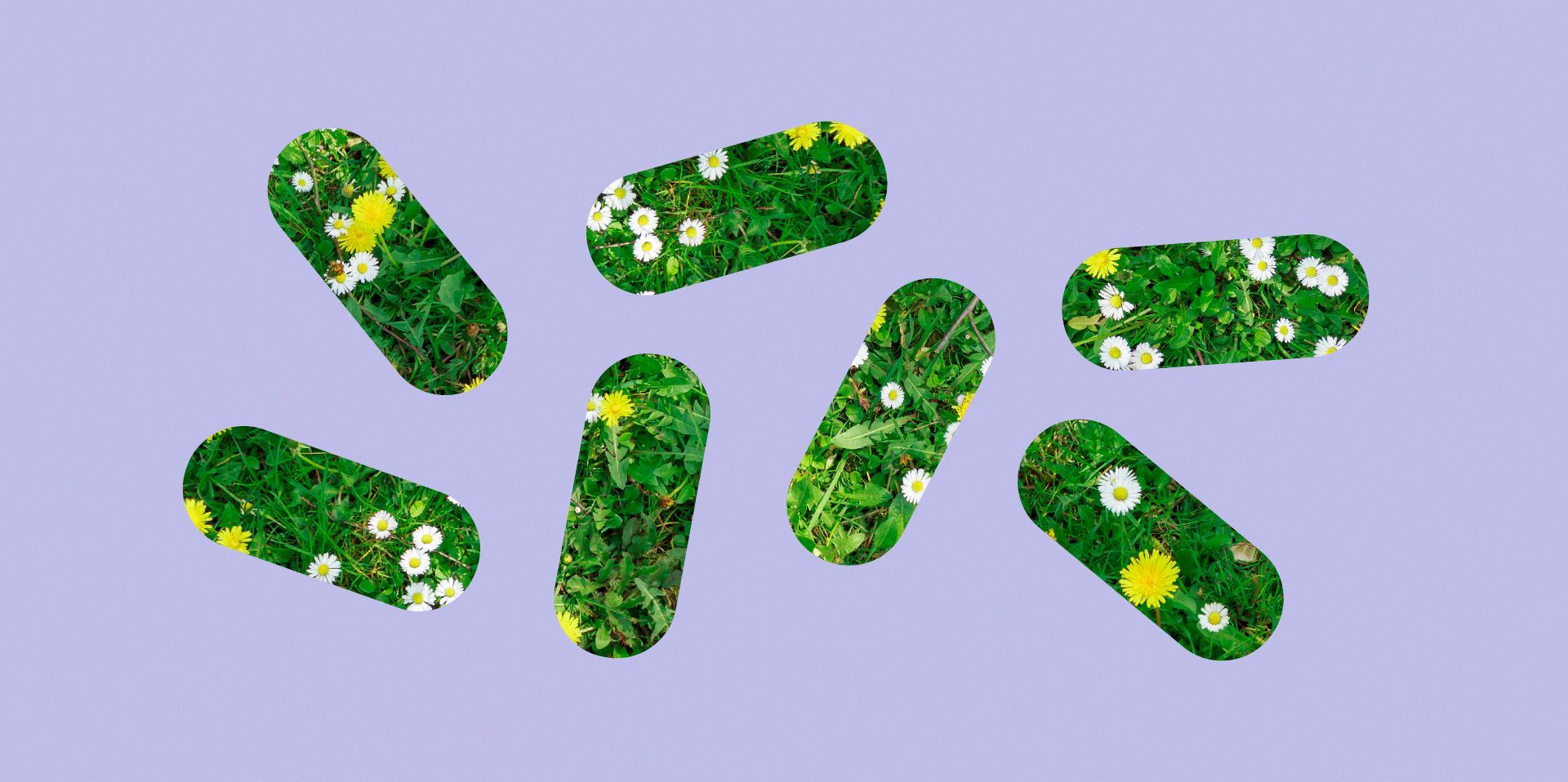 How Early Should I Take Prenatal Vitamins? Kin Fertility