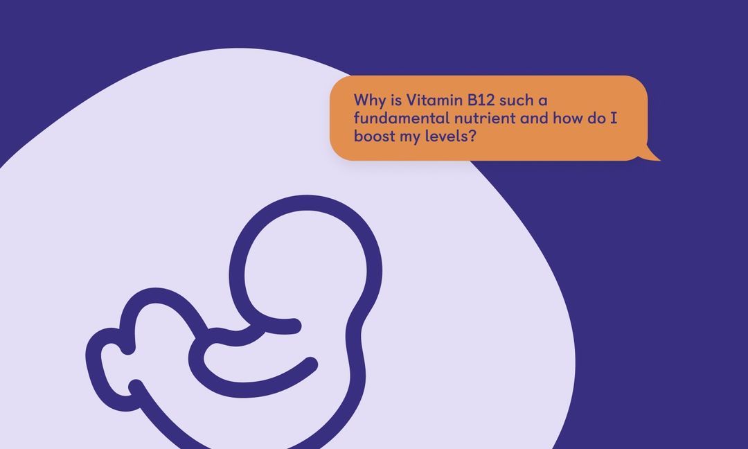 Vitamin E & Pregnancy How Much Is Considered Safe? Kin Fertility