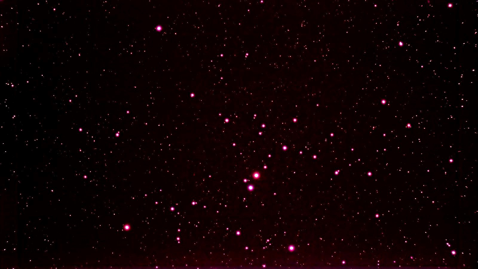 Vernal Equinox and Spring Beehive | 5enses Magazine