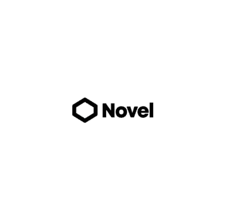 Novel