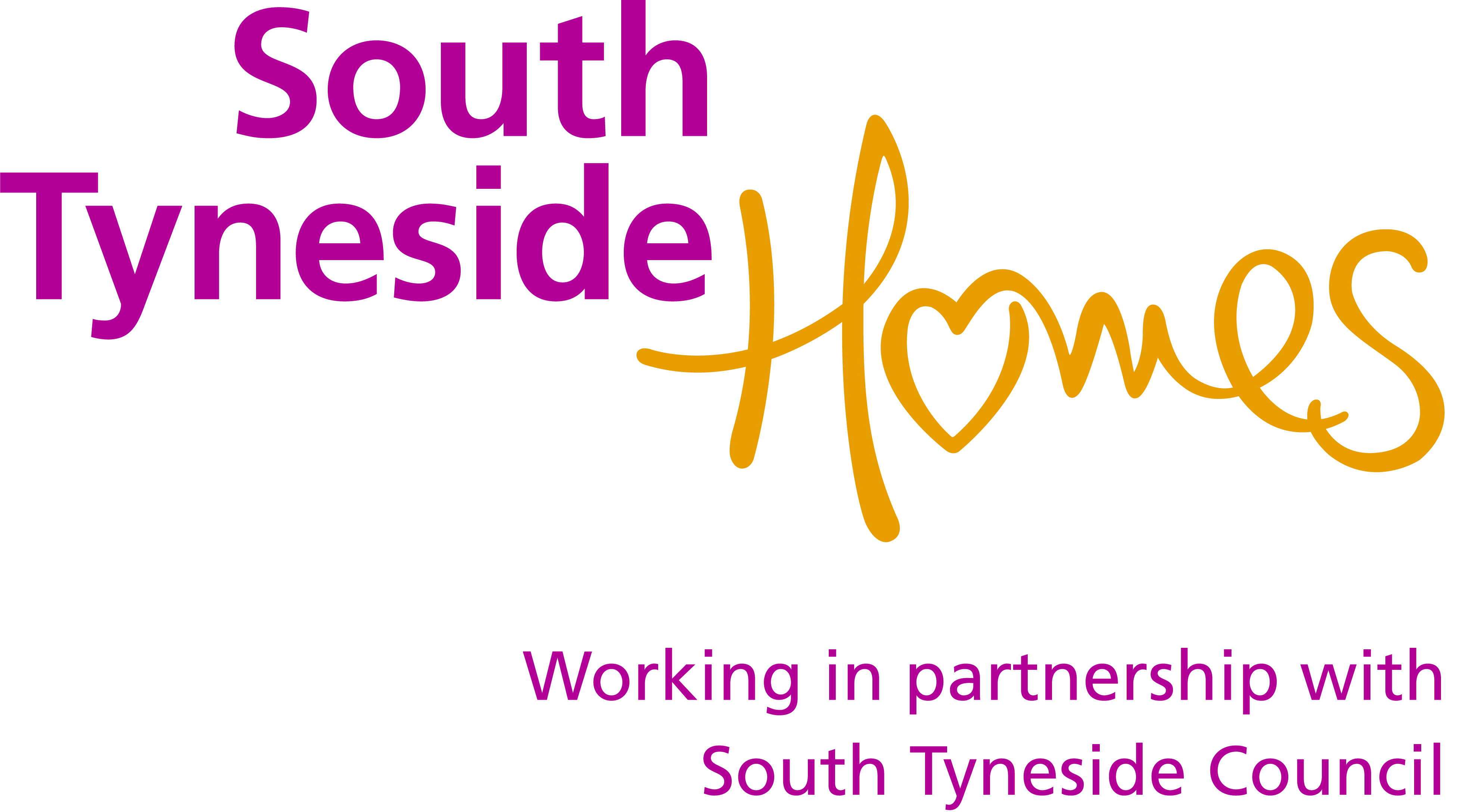 Best Companies South Tyneside Homes Company Profile