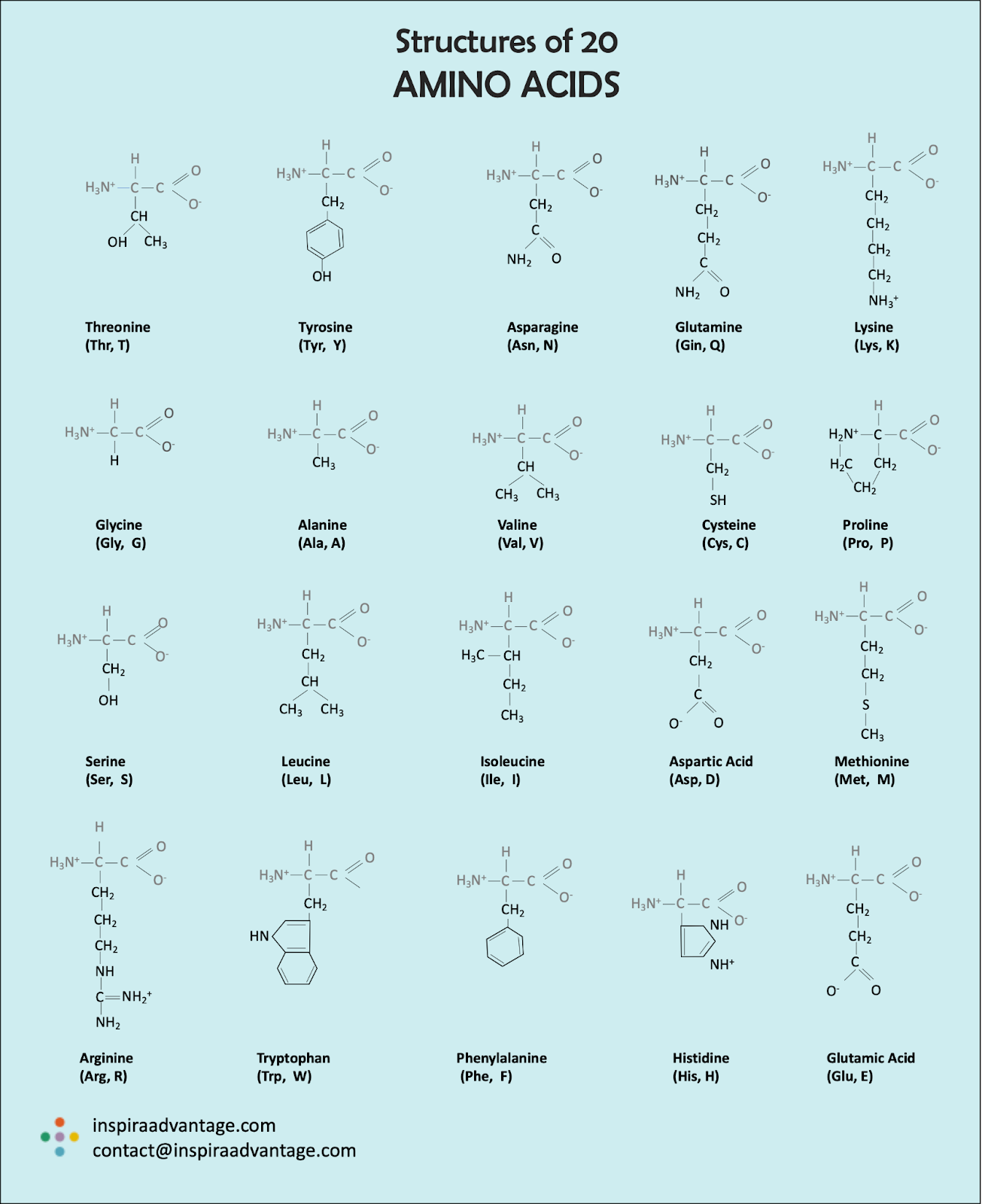 How To Learn Amino Acids For Mcat MCAT Biochemistry | Study Guide + Sample Questions