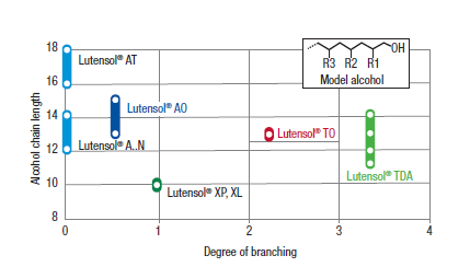 Branching Chart