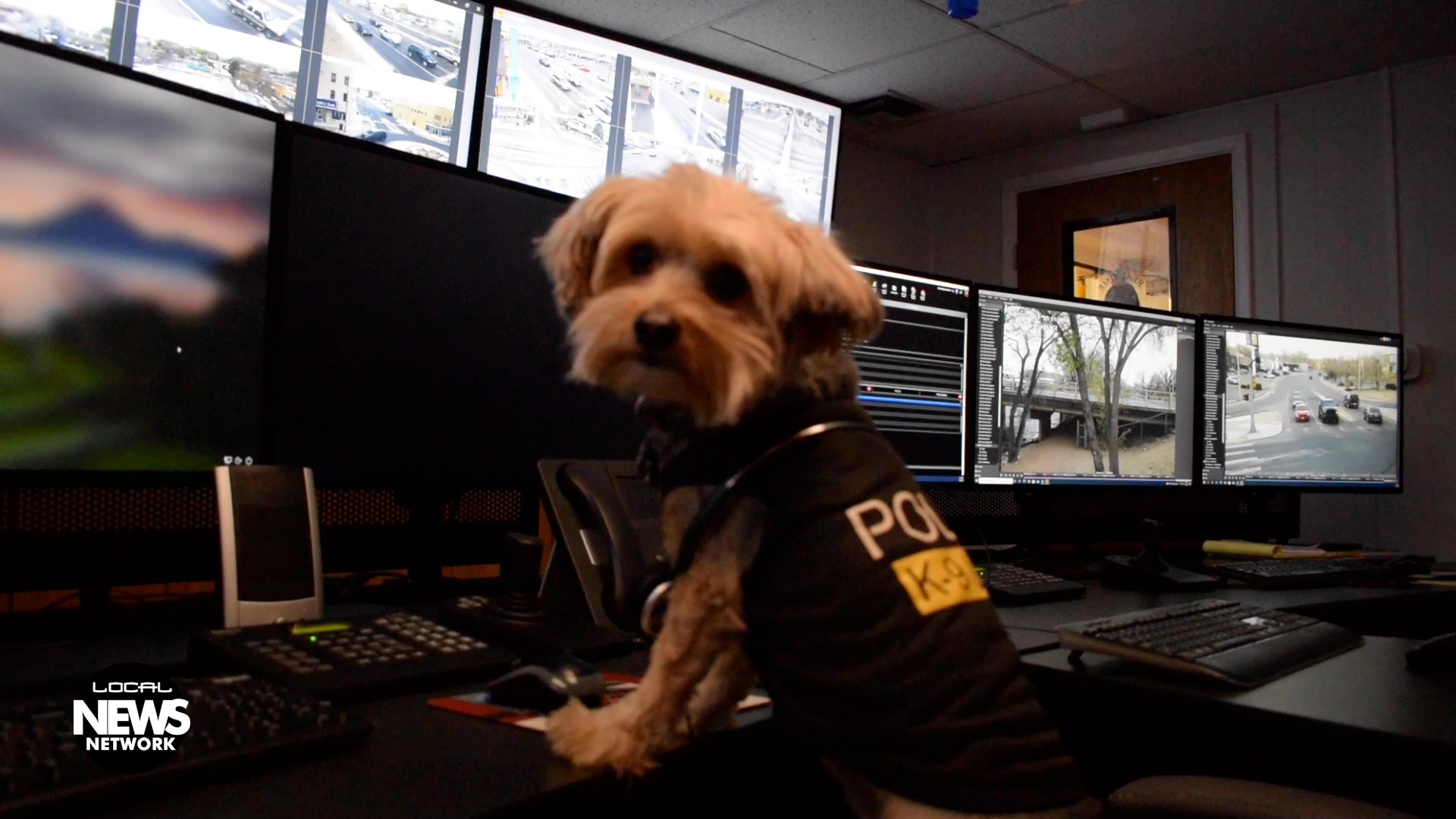 Baxter on Patrol! 4/21/2022