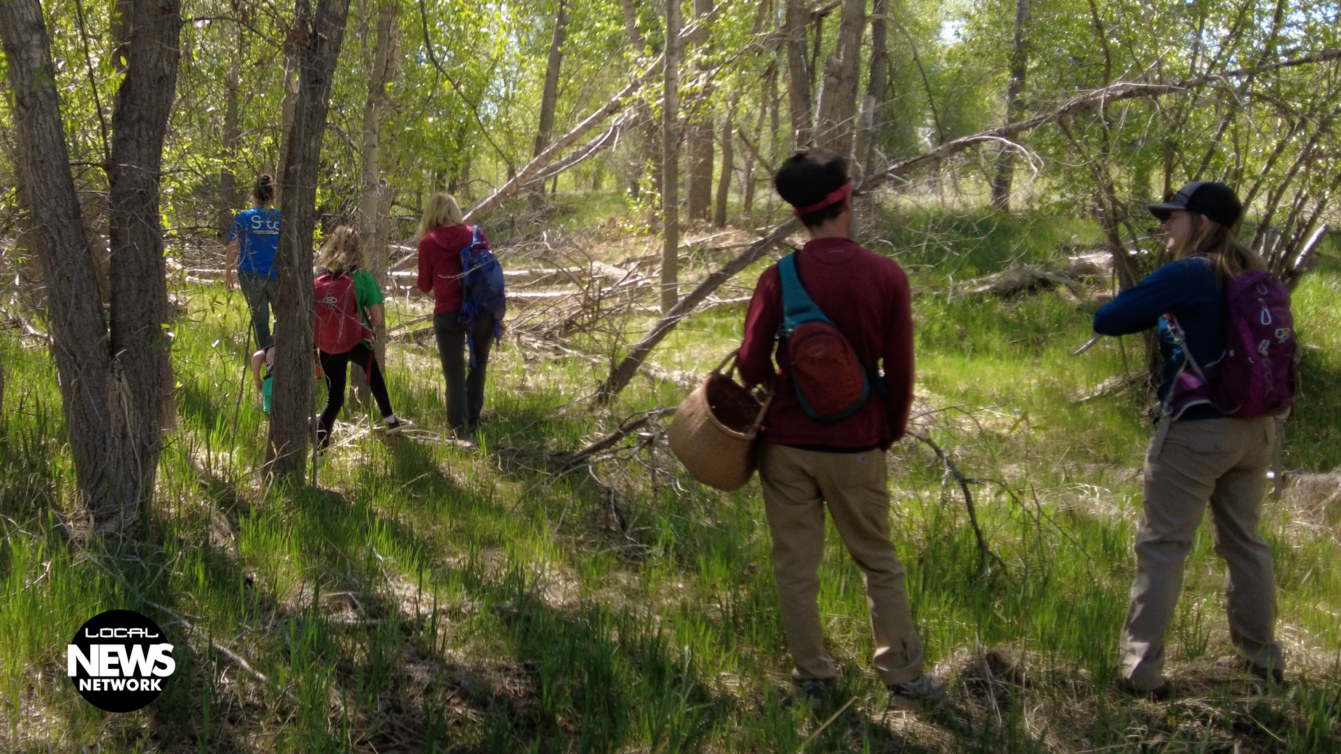 Morel Mushrooms Gather Them Yourself this Spring 5/23/2022