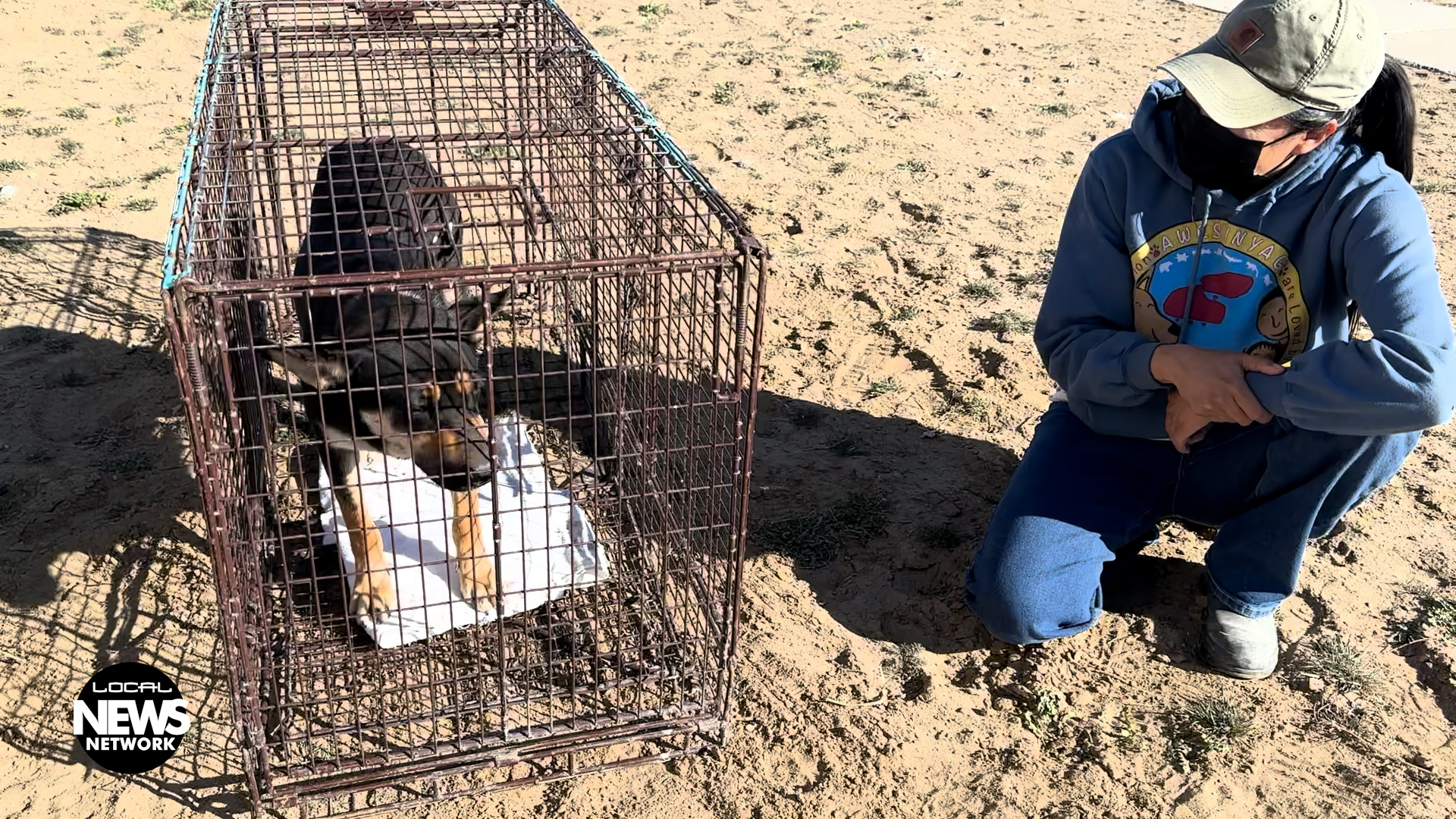 Rez Dog’s Day in Shiprock March 20, 2023