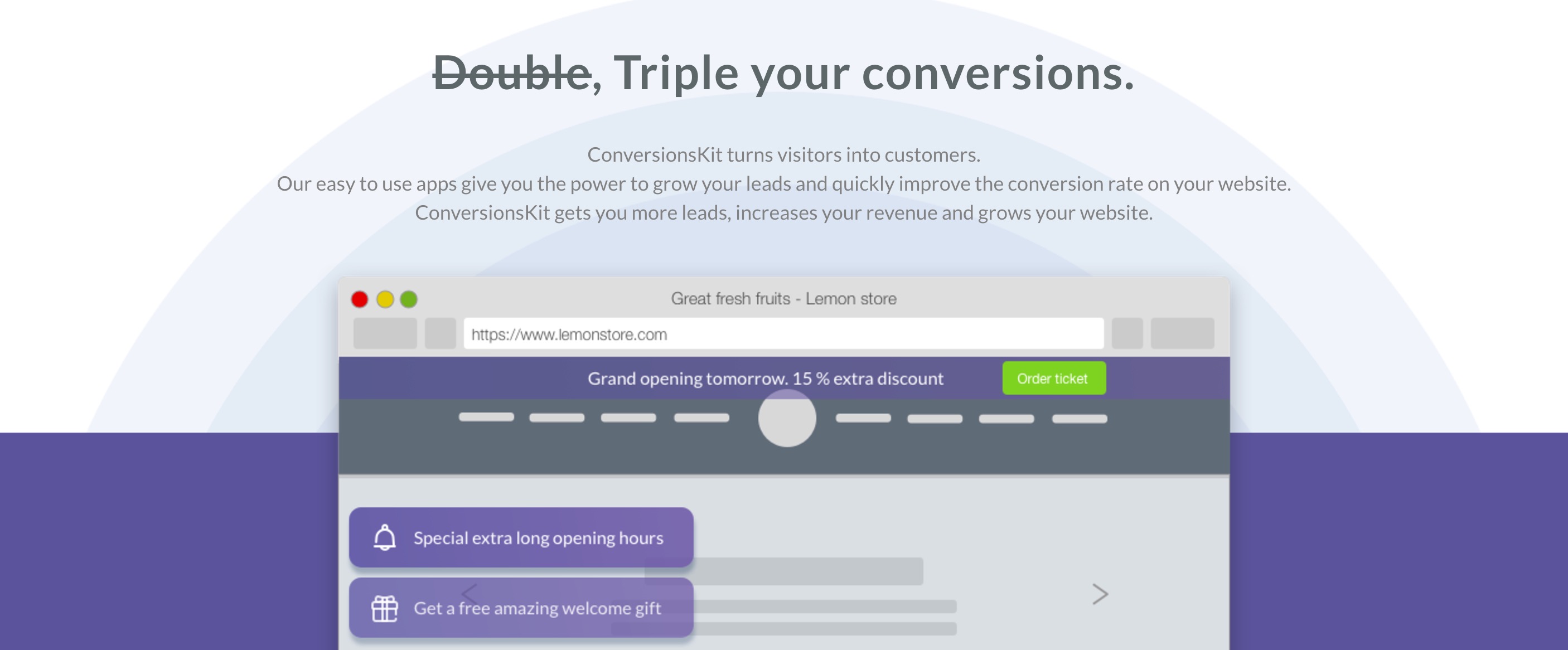 Conversion Principles Screenshot - conversion centered design