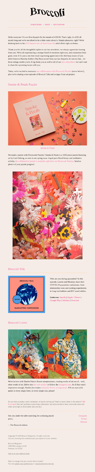 informational newsletter email example