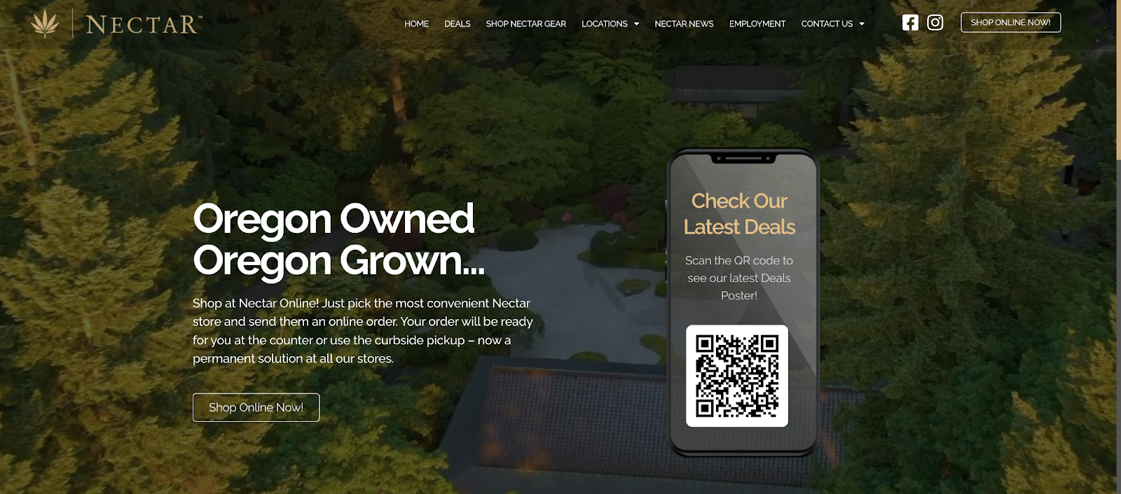 cannabis website example