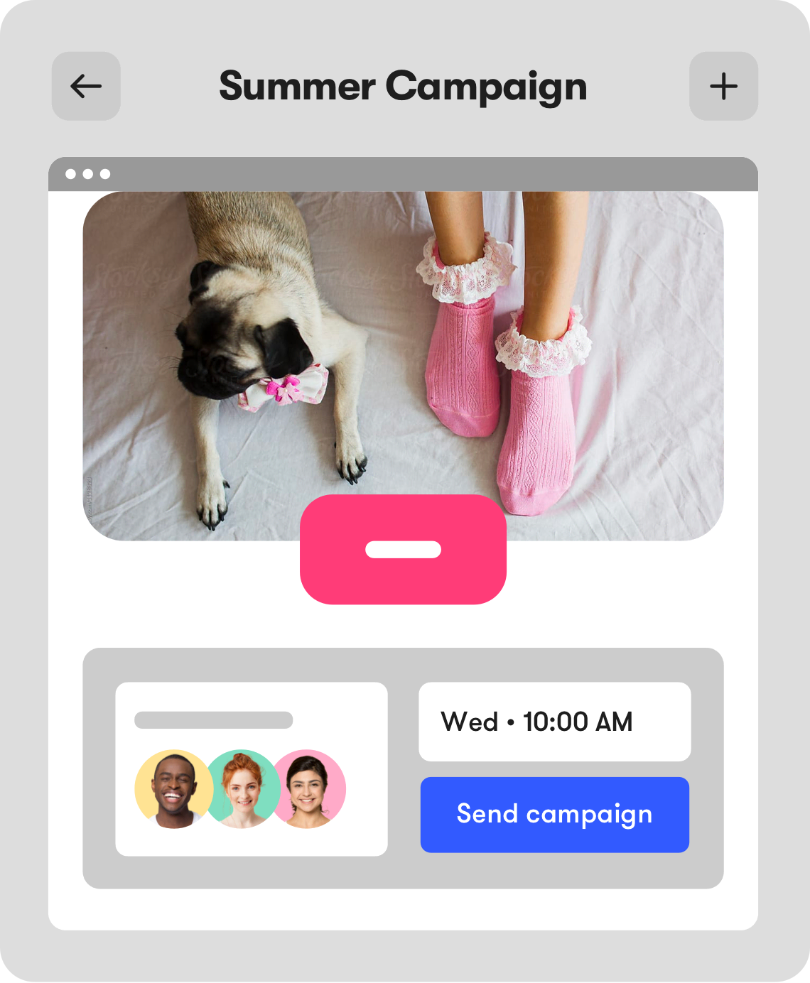 summer campaign image