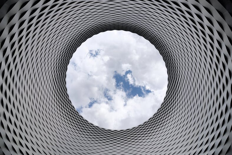 Image of an ant's perspective of looking up at the clouds.