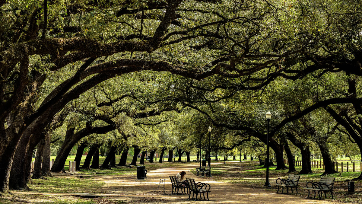 Photo of Memorial Park in Houston Texas