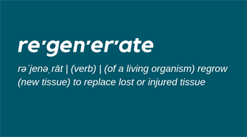 Definition of regenerate