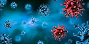 Regenerative Cell Therapy & Coronavirus
