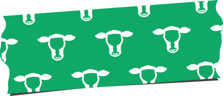 Green tape with Hopdoddy logos on it.