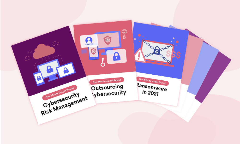 Cybersecurity risk management insights from Pulse's One-Minute Insight Reports