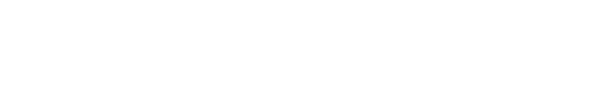 Wise Systems logo