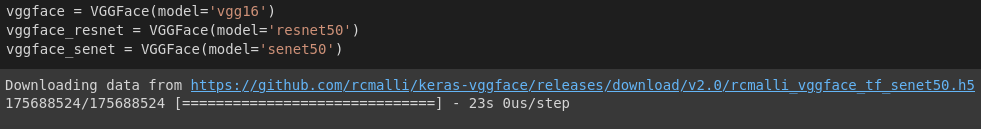 Setting up VGGFace