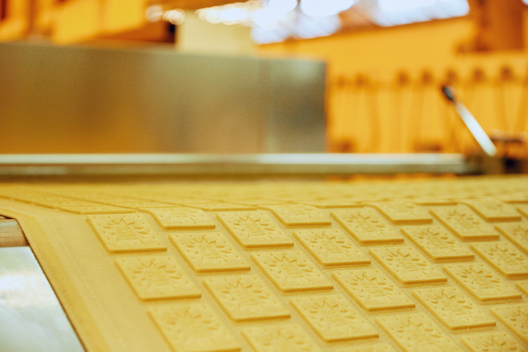 Food Processing & FMCG