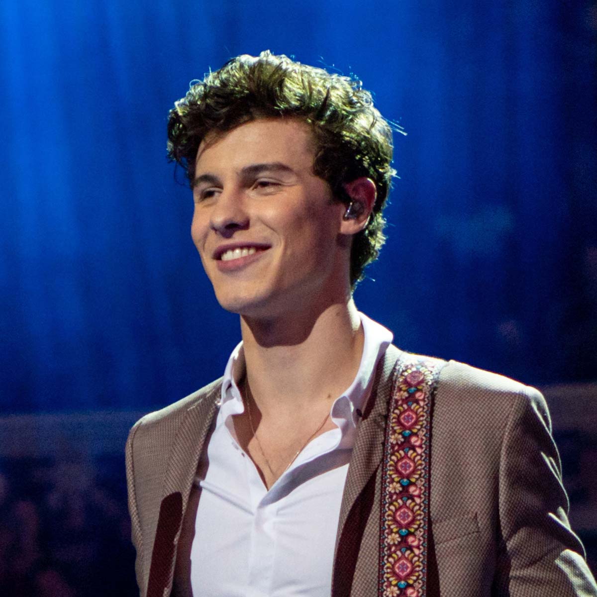 Shawn Mendes Concert Reviews LiveRate