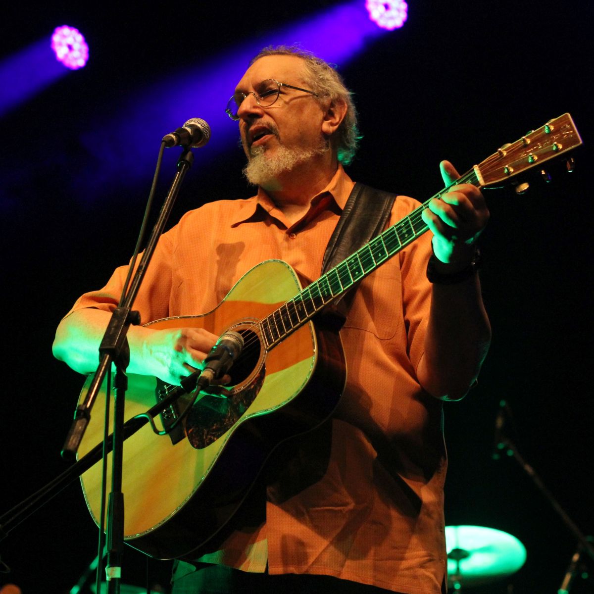 David Bromberg Concert Reviews LiveRate