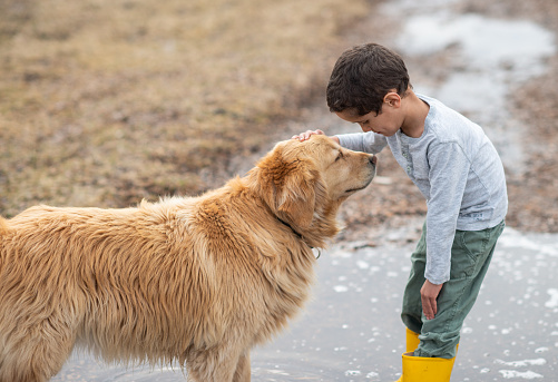 What Is The Definition Of Child Abuse And Neglect In Illinois 