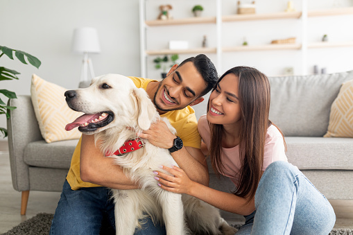 Couple discussing who gets pet custody of the golden retriever