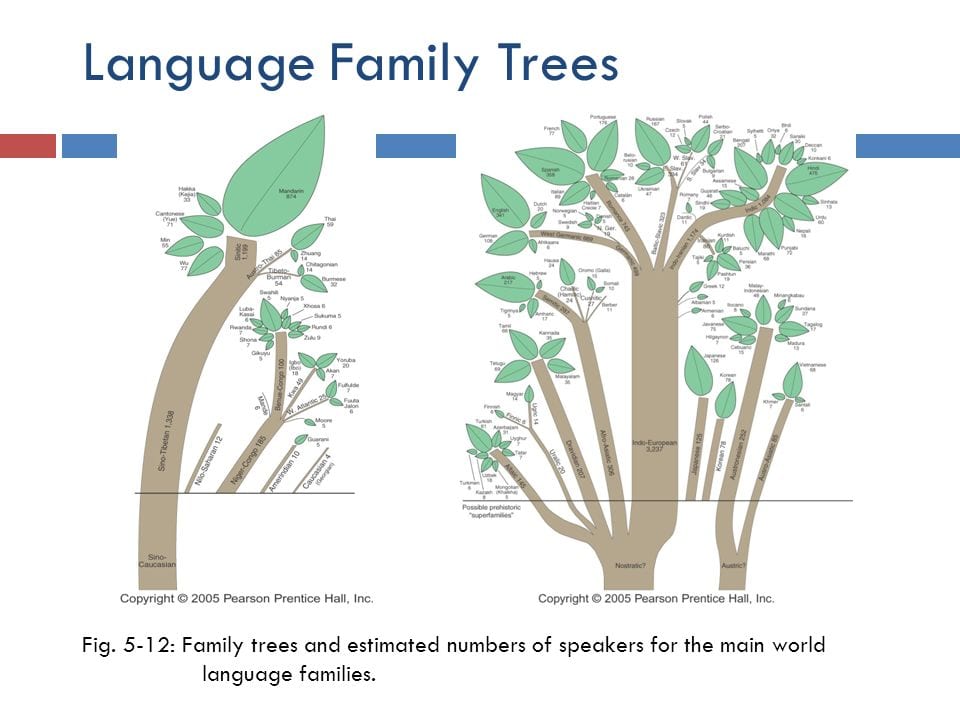 11 Easy Languages For Non Native English Speakers to Learn