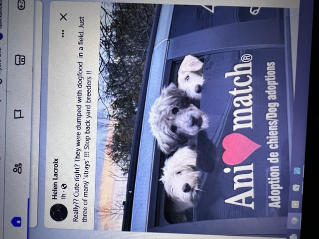 To do nothing, to say nothing .... stops nothing!