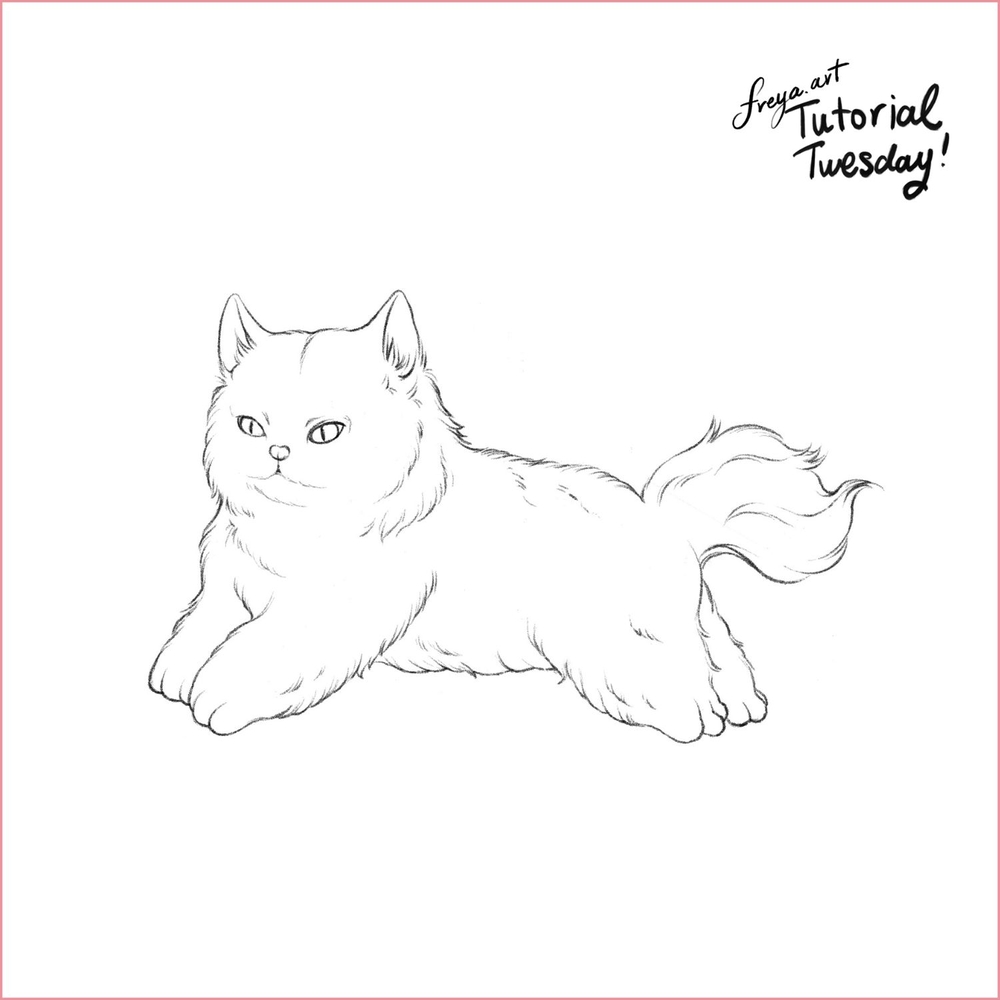 Stylized Cat Portrait Tutorial For Procreate Stylized Cat Portrait Tutorial For Procreate