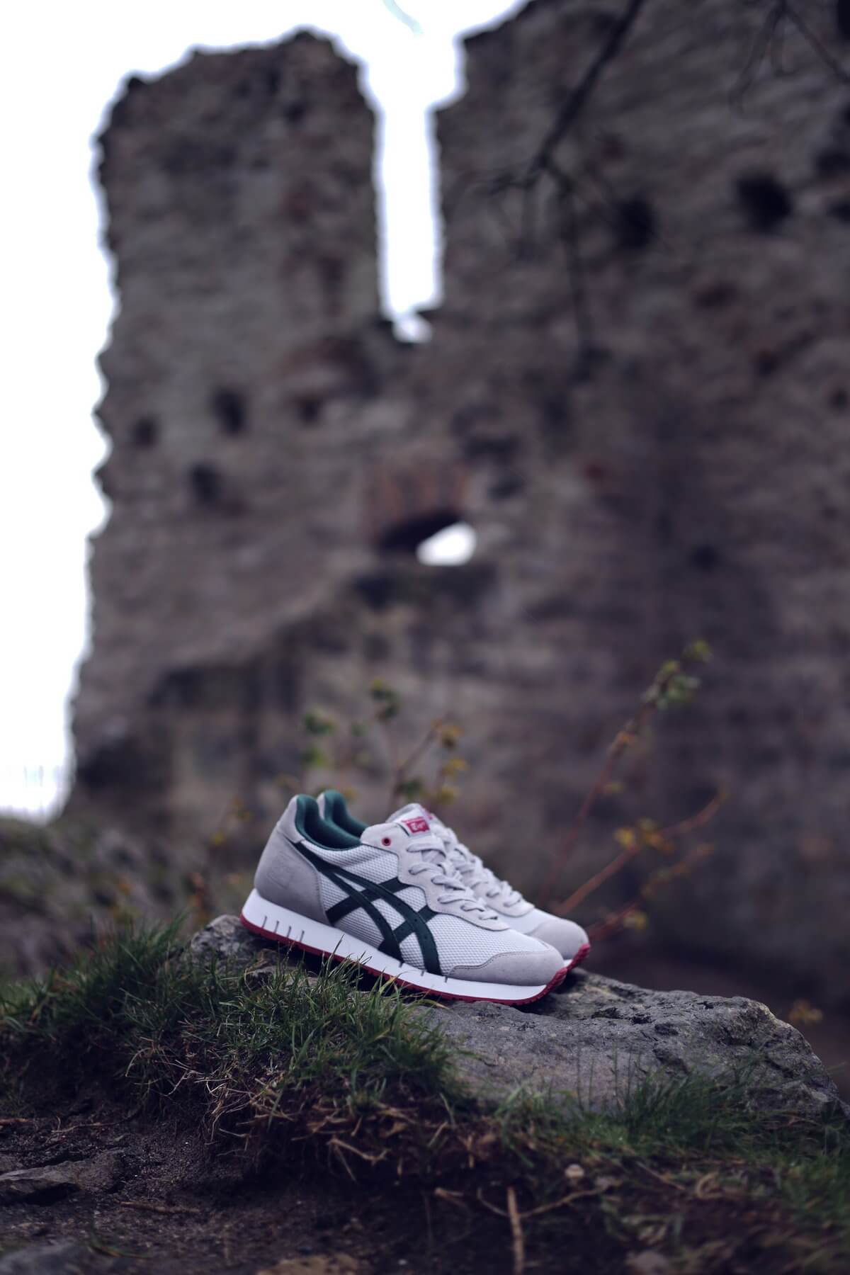 phil knight onitsuka tiger