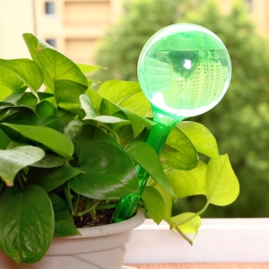 Amazon Watering Globes