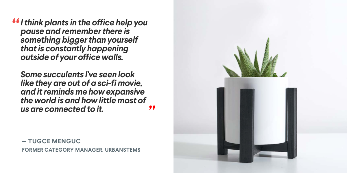 UrbanStems Tugce Menguc Quote