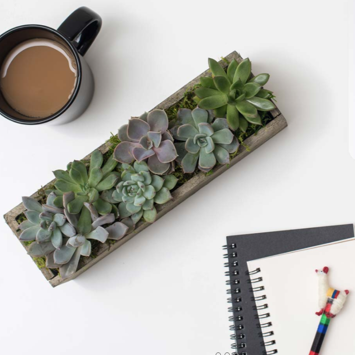The Sanford wooden planter with succulents