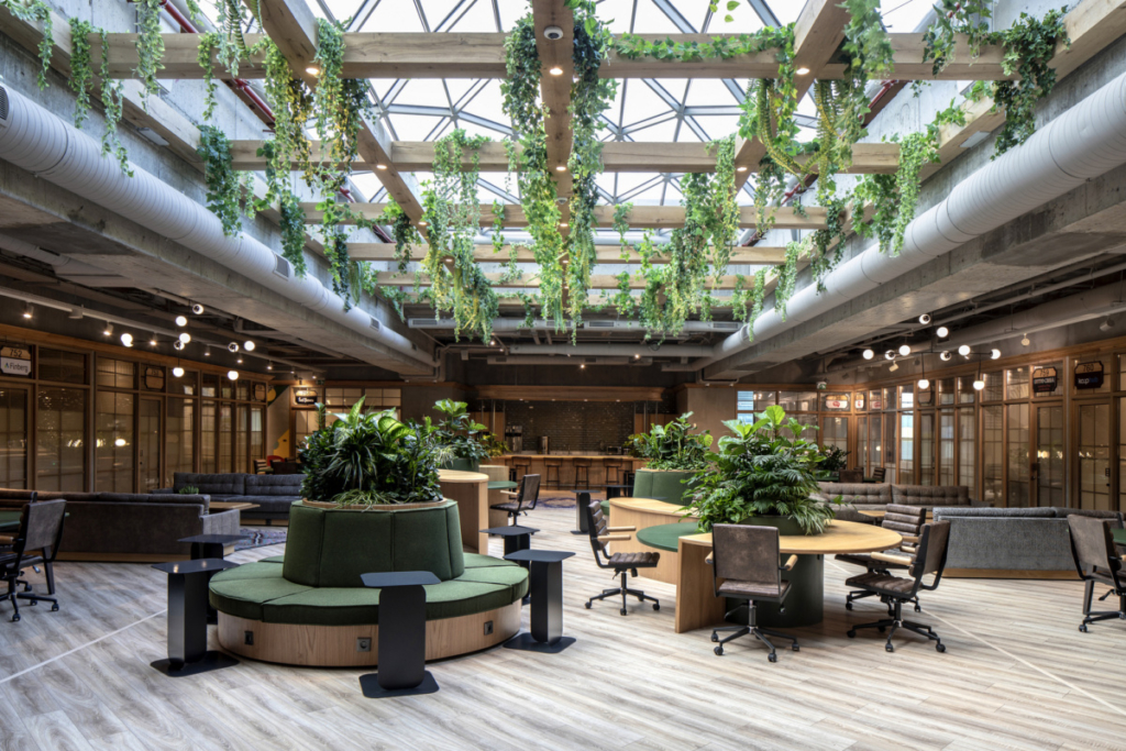Incorporating a variety of workspaces and natural elements is one way to increase productivity in the workplace