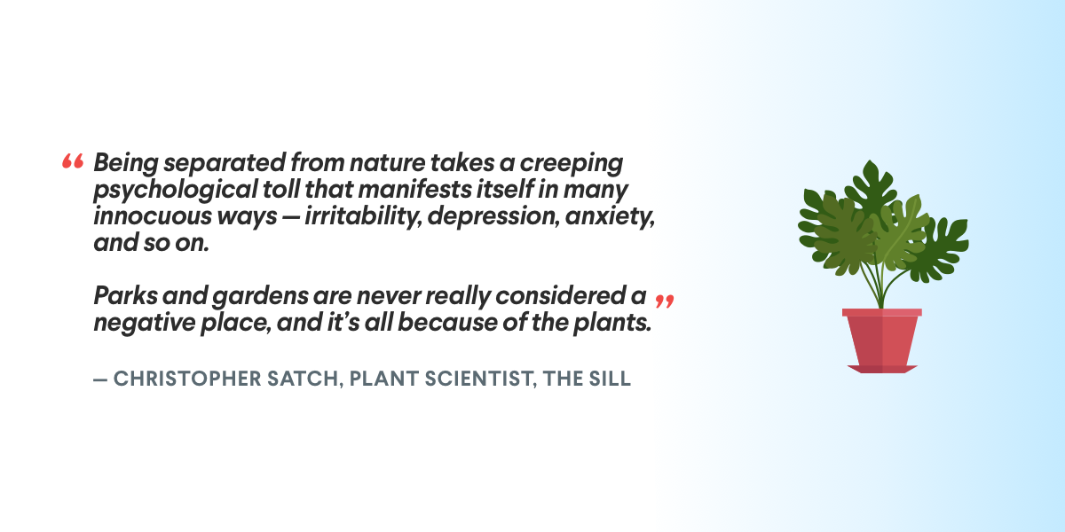 The Sill Christopher Satch Plant Quote