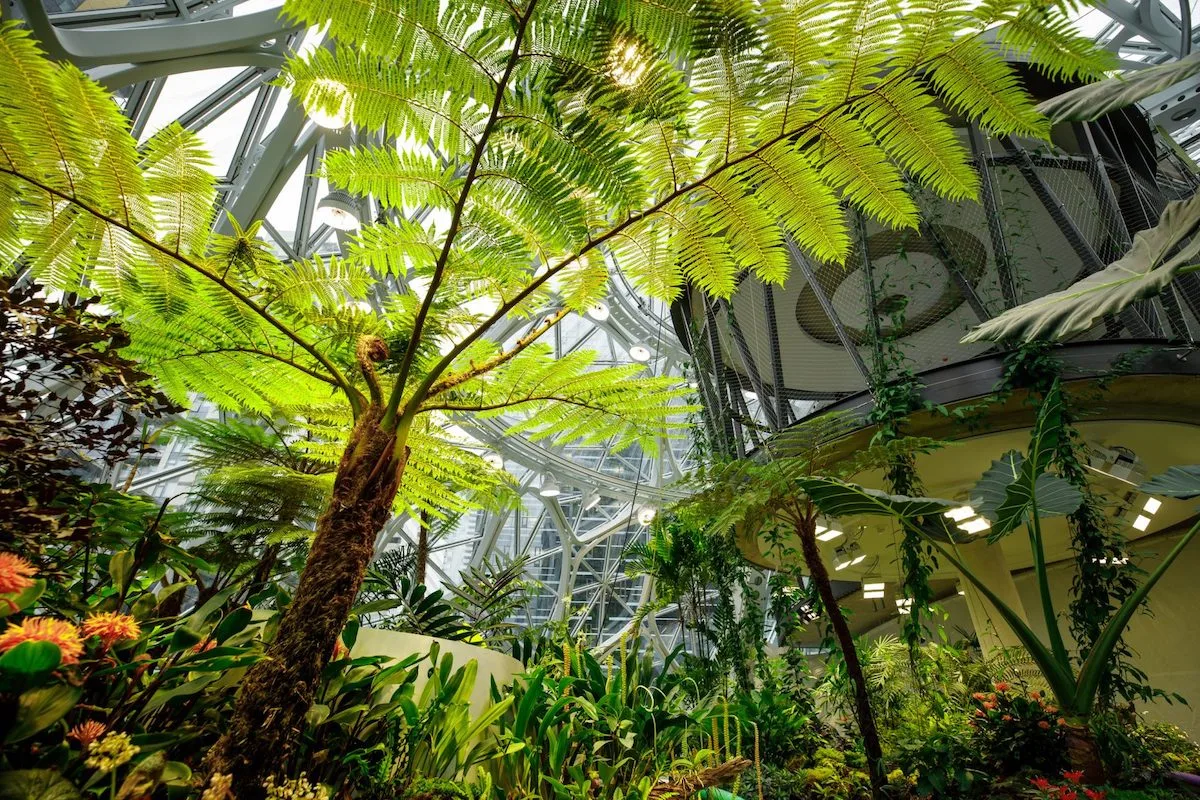 the-spheres-amazon-offices-seattle_dezeen_2364_col_5-1704x1136