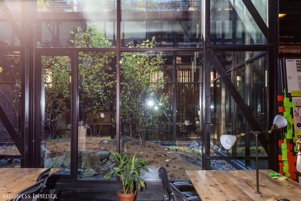 Kickstarter solarium natural light social area