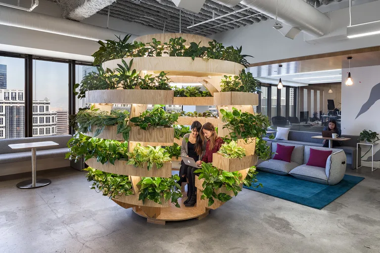 JOANY Los Angeles flex space office design