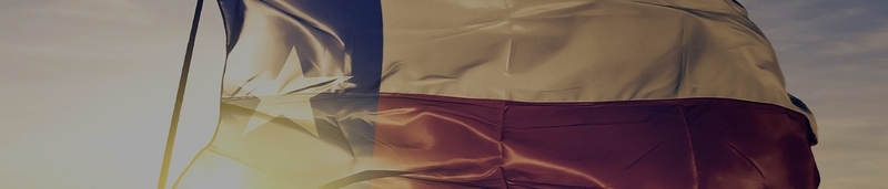 State of Texas Emergency Assistance Registry
