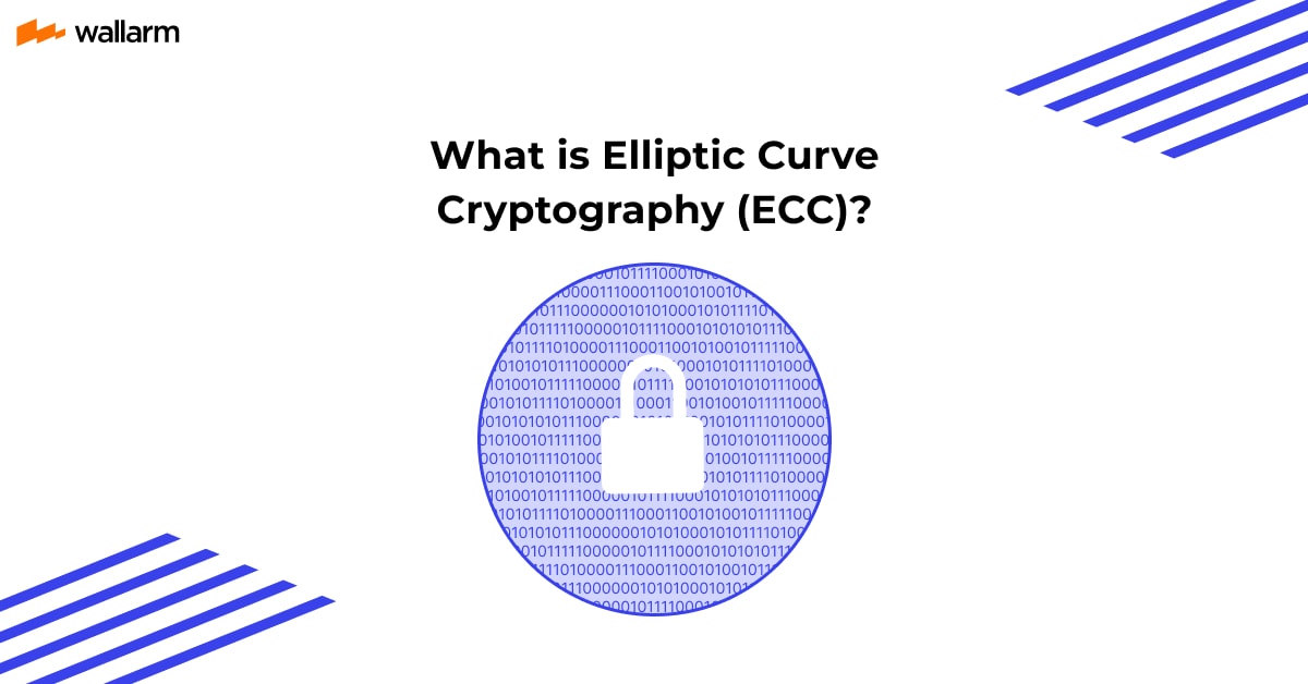 What is Elliptic Curve Cryptography? Guide by Wallarm