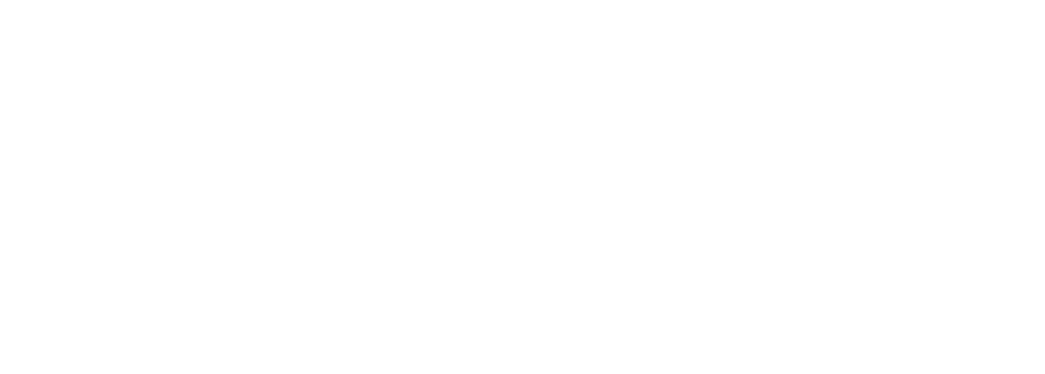 Logo BGS Bau Guss AG