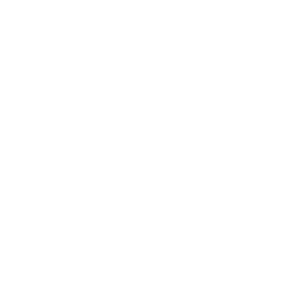 Logo Chocolat Frey