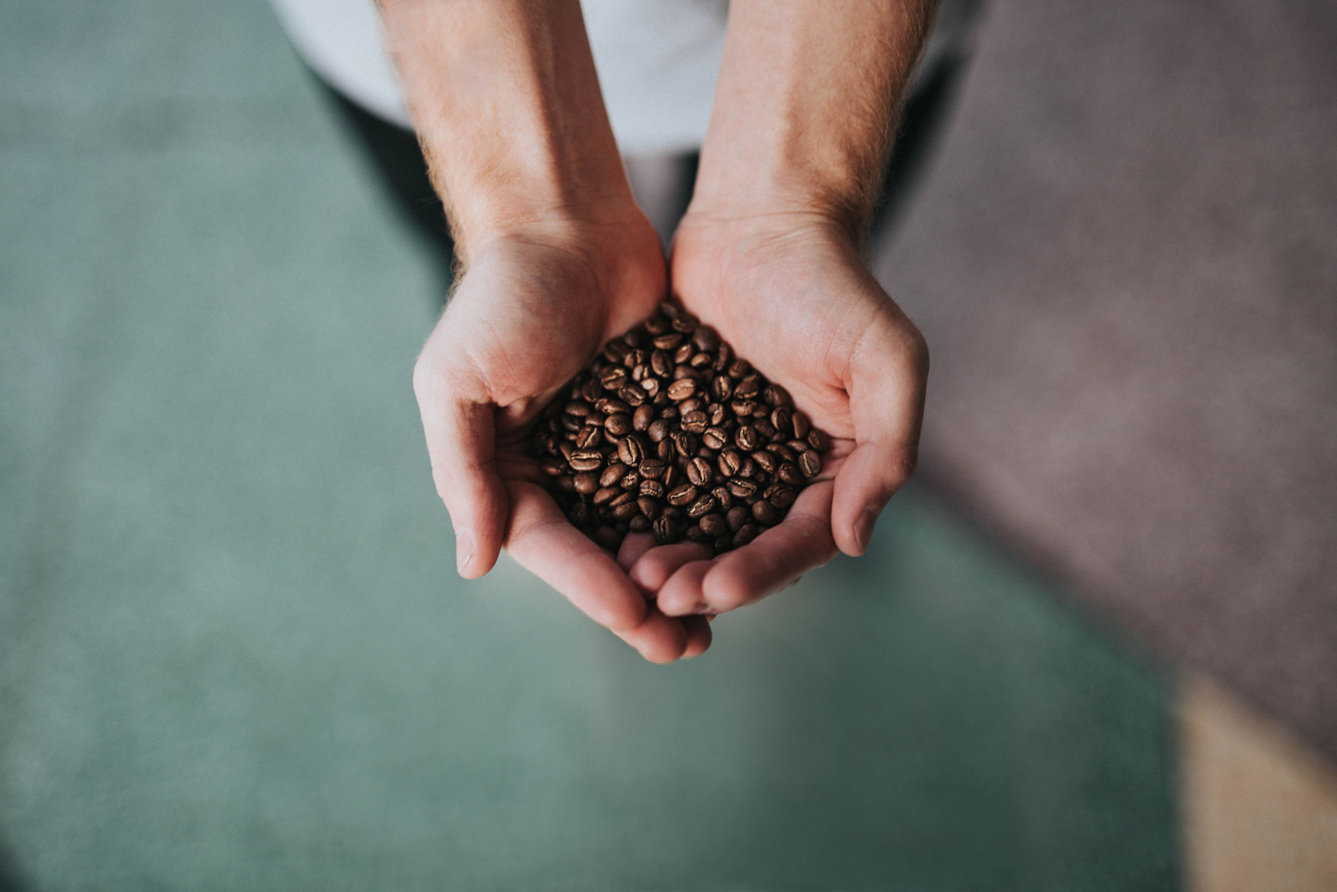 Eine Person hält Kaffeebohnen in den Händen