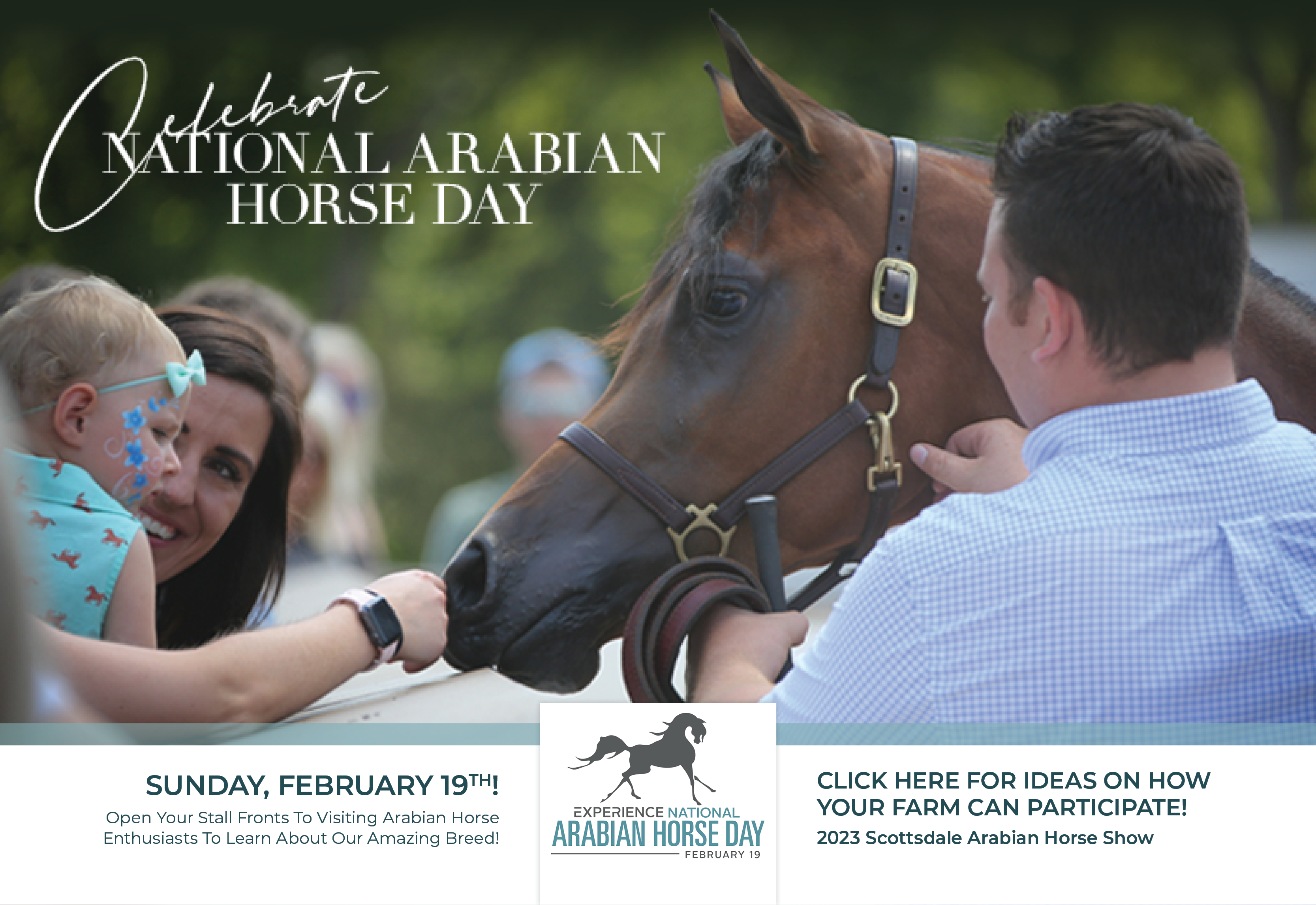 Celebrate National Arabian Horse Day - February 19
