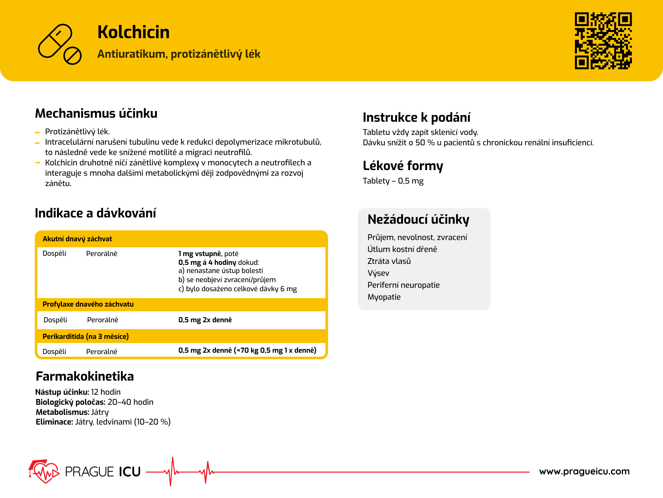 Prague ICU