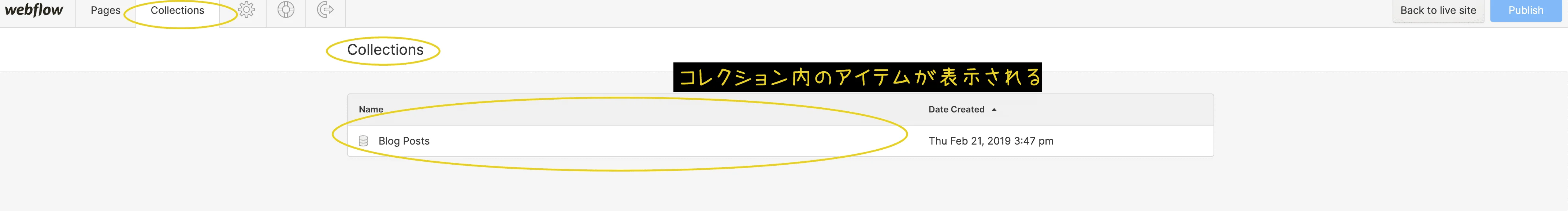 コレクションタブで全てのコレクションアイテムにアクセスできます。