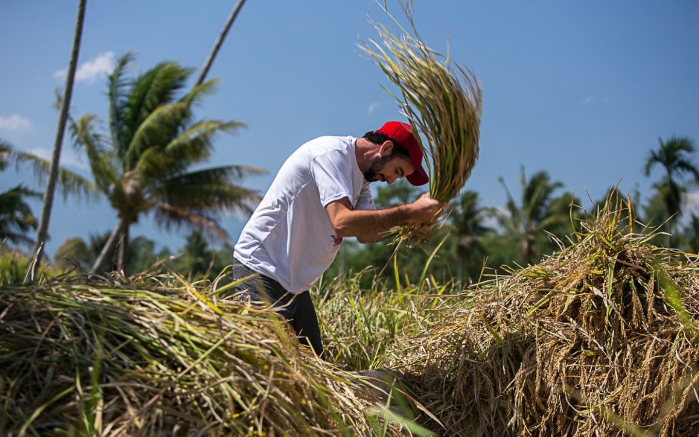 2025 Trips Coming Soon! Summer Mission Trip