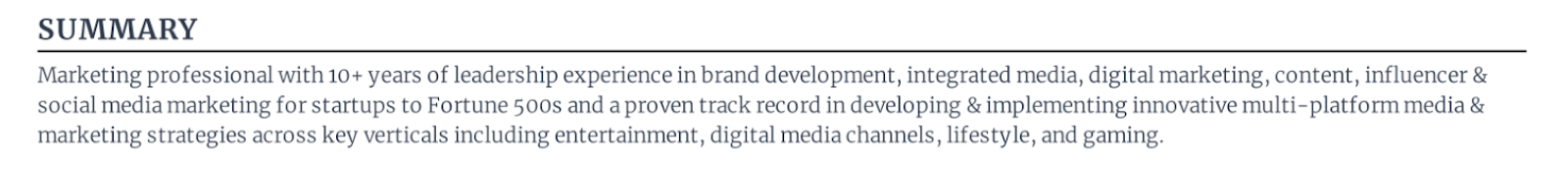 Chief marketing officer resume summary